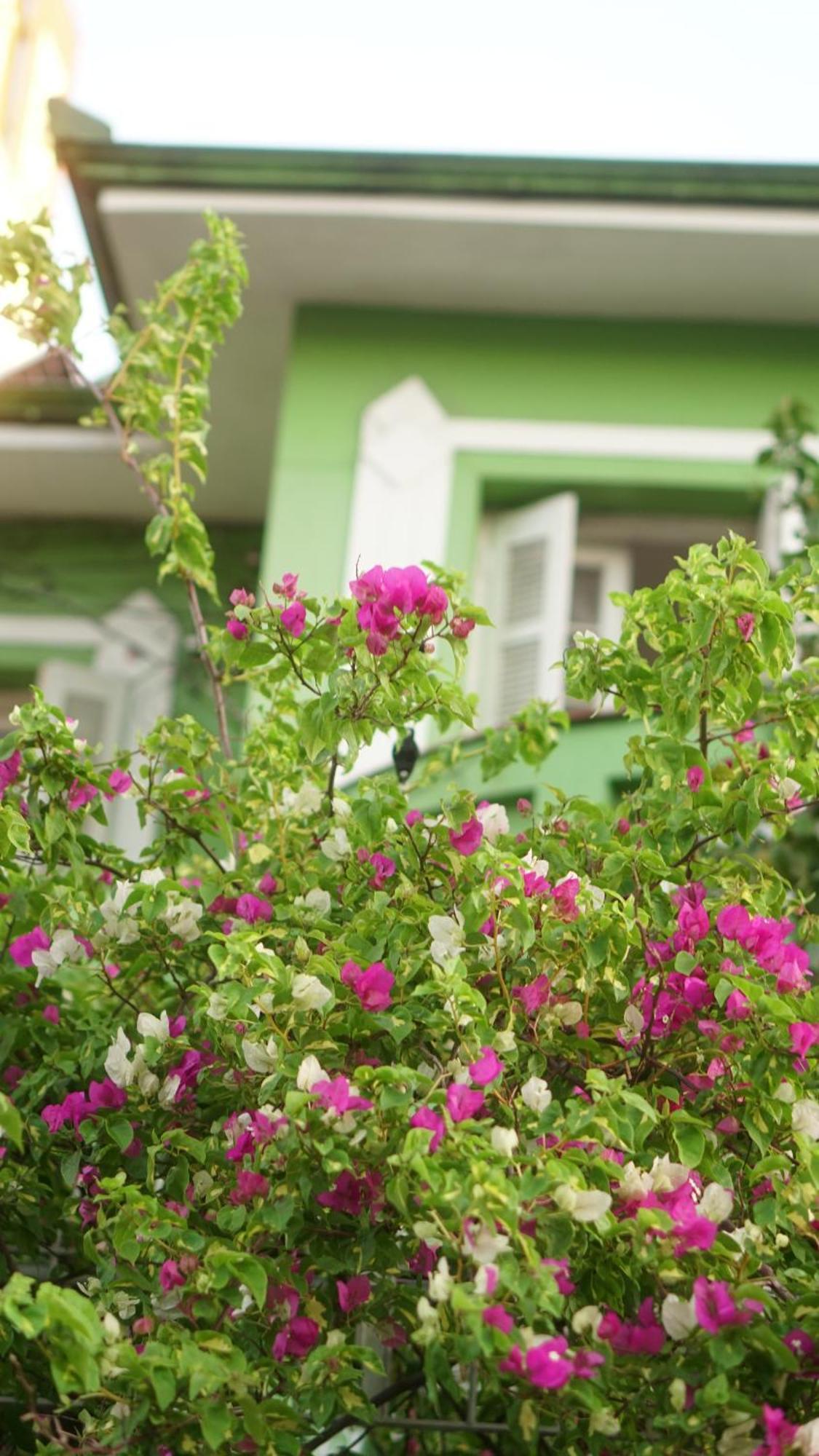 Poa Eco Hostel Порту Алегри Екстериор снимка