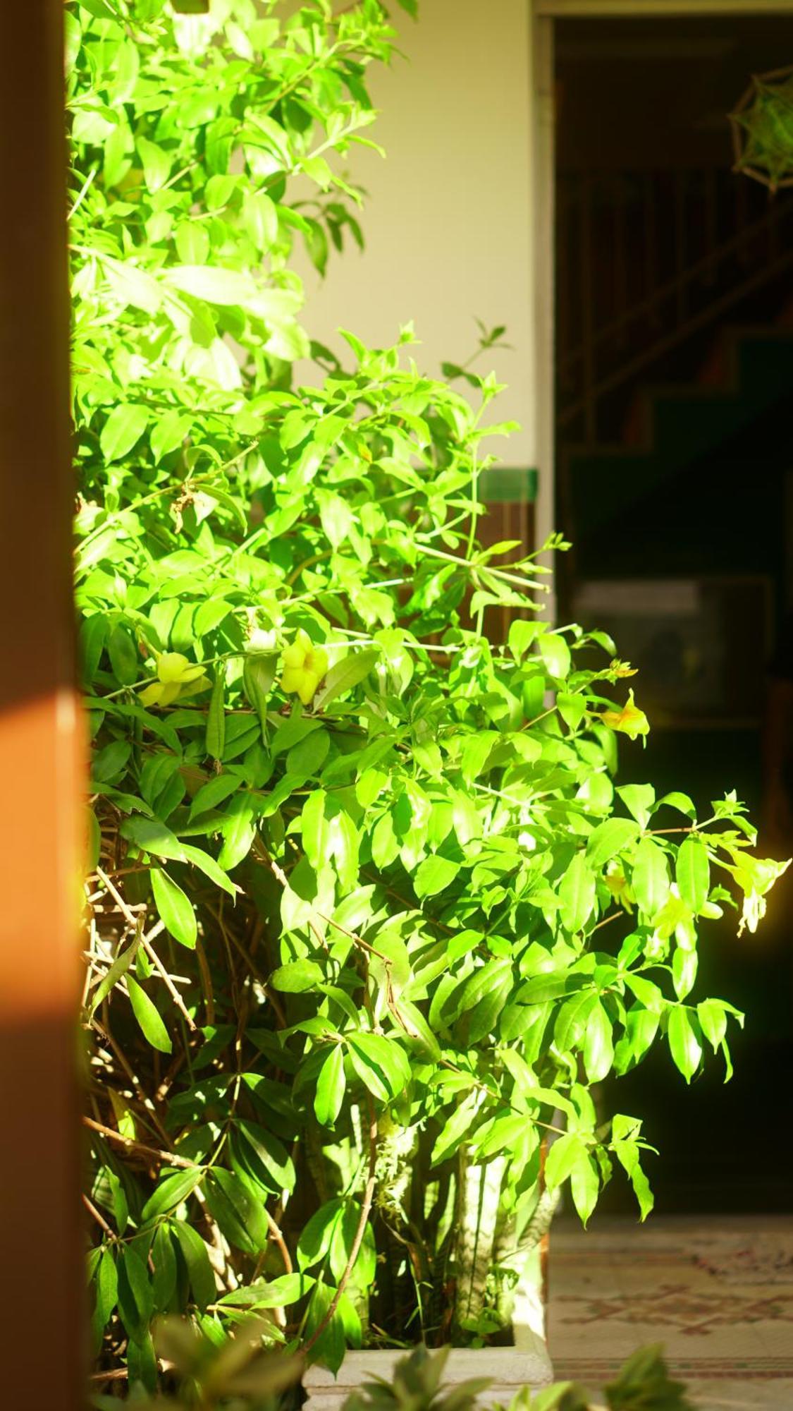 Poa Eco Hostel Порту Алегри Екстериор снимка